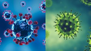Influenza e Covid: pesquisadora da Fiocruz responde dúvidas sobre os