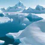 Lama da Antártida pode ajudar a combater as mudanças climáticas;