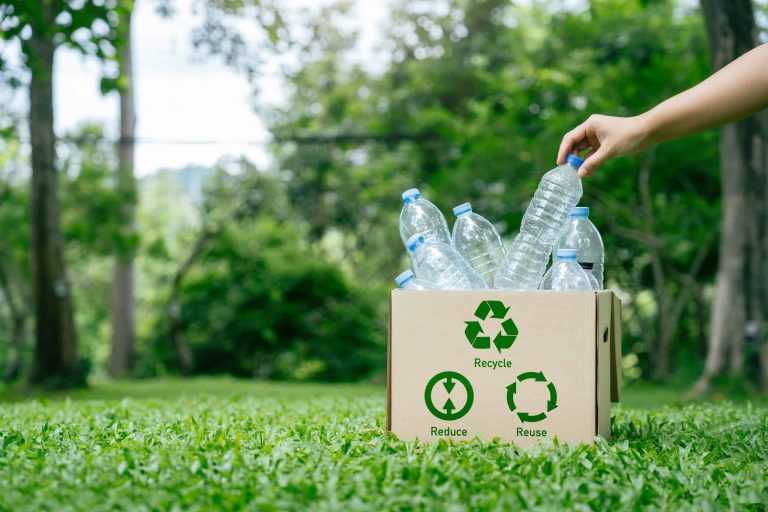 Lixo sob controle: IA e robótica facilitam descarte e reciclagem