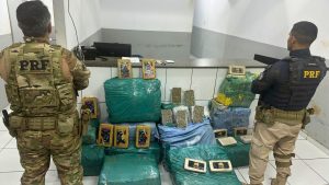 Mais de 360 kg de drogas são apreendidos em caminhão