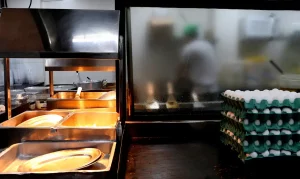 Maranhão atinge recorde de empresas e pessoas empregadas no setor
