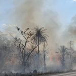 Maranhão é o 2º estado com mais focos de queimadas