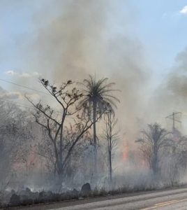 Maranhão é o 2º estado com mais focos de queimadas