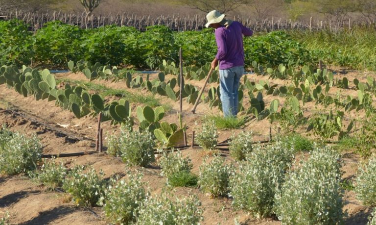 Maranhão se prepara para a 3ª Conferência Estadual de Desenvolvimento