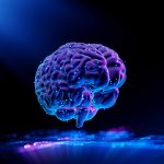 “Minicérebros” amadurecem com grafeno em estudo sobre Alzheimer