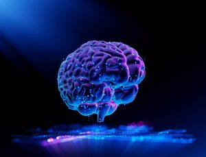 “Minicérebros” amadurecem com grafeno em estudo sobre Alzheimer