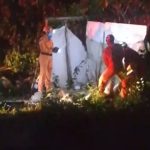 Motorista de aplicativo é encontrado esquartejado em cova rasa na