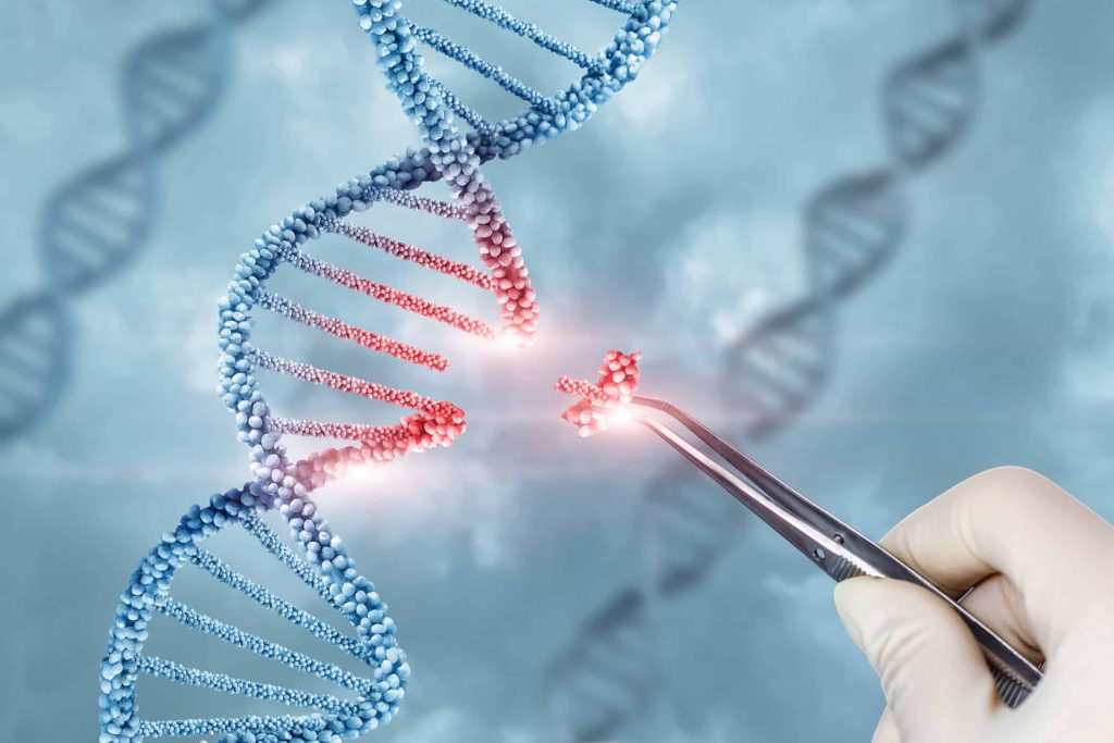 Novo estudo revoluciona a genética com transplante de comportamento