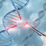 Novo estudo revoluciona a genética com transplante de comportamento