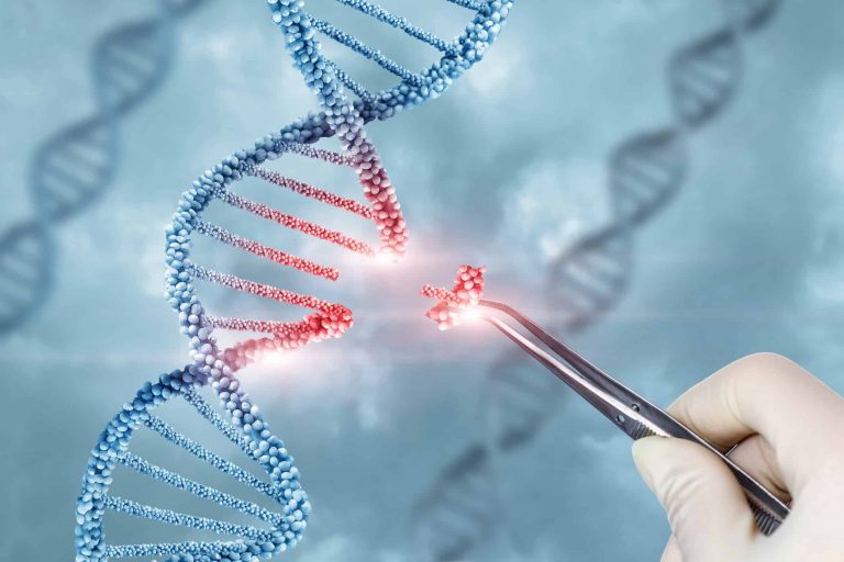 Novo estudo revoluciona a genética com transplante de comportamento
