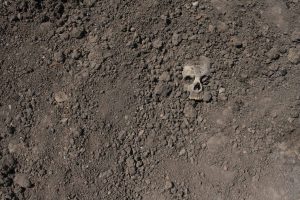 O ritual macabro realizado na França há 6 mil anos