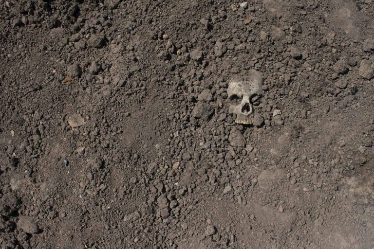 O ritual macabro realizado na França há 6 mil anos