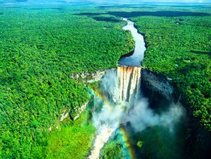 OpenAI lança desafio na Amazônia e governo pede explicação