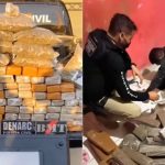 Polícia apreende 70kg de drogas na Região Tocantina