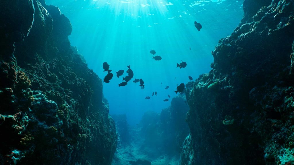 Por que o oceano Pacífico é tão grande?