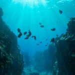 Por que o oceano Pacífico é tão grande?