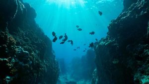 Por que o oceano Pacífico é tão grande?
