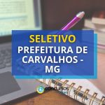 Prefeitura de Carvalhos - MG abre seletivo em diversas áreas