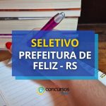 Prefeitura de Feliz - RS abre oportunidades em diversas áreas