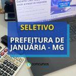 Prefeitura de Januária - MG abre processo seletivo; até R$