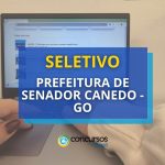 Prefeitura de Senador Canedo - GO divulga processo seletivo