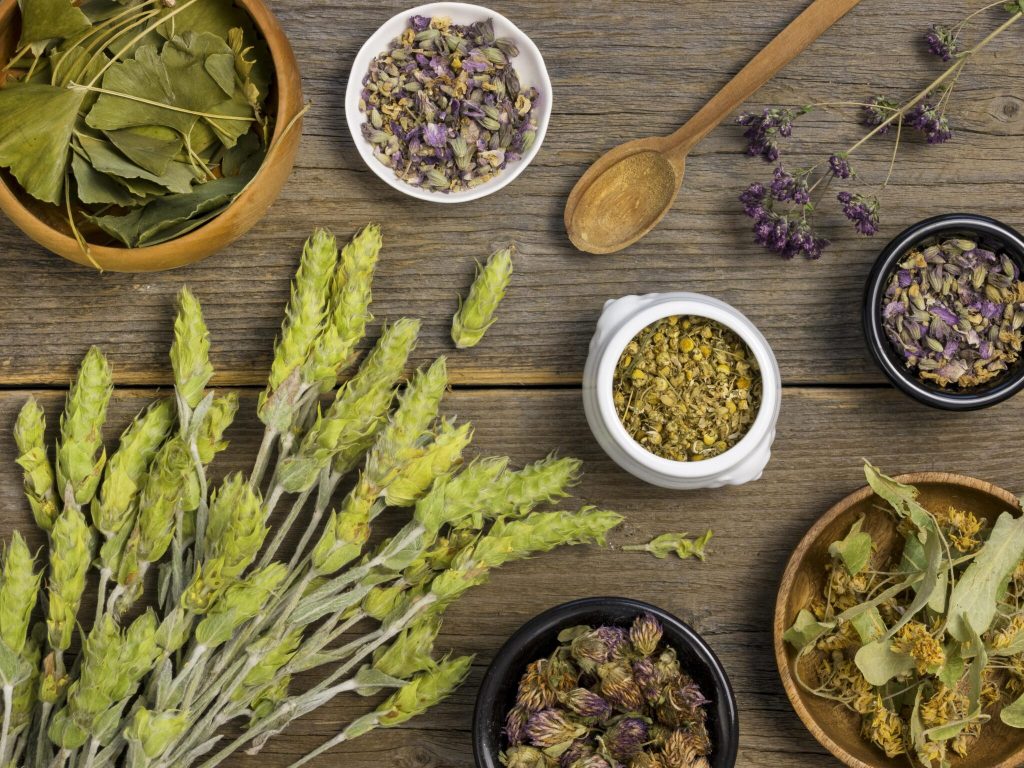 Projeto cultural promove oficinas com plantas medicinais na região Itaqui-Bacanga,