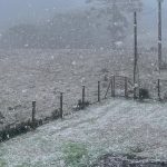 Rio Grande do Sul registra neve em algumas localidades