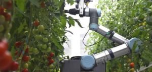 Robôs e IA assumem polinização de plantas no dia a
