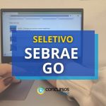 SEBRAE GO abre quatro editais com cargos de até R$
