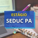 SEDUC PA divulga estágio para bolsistas de nível superior