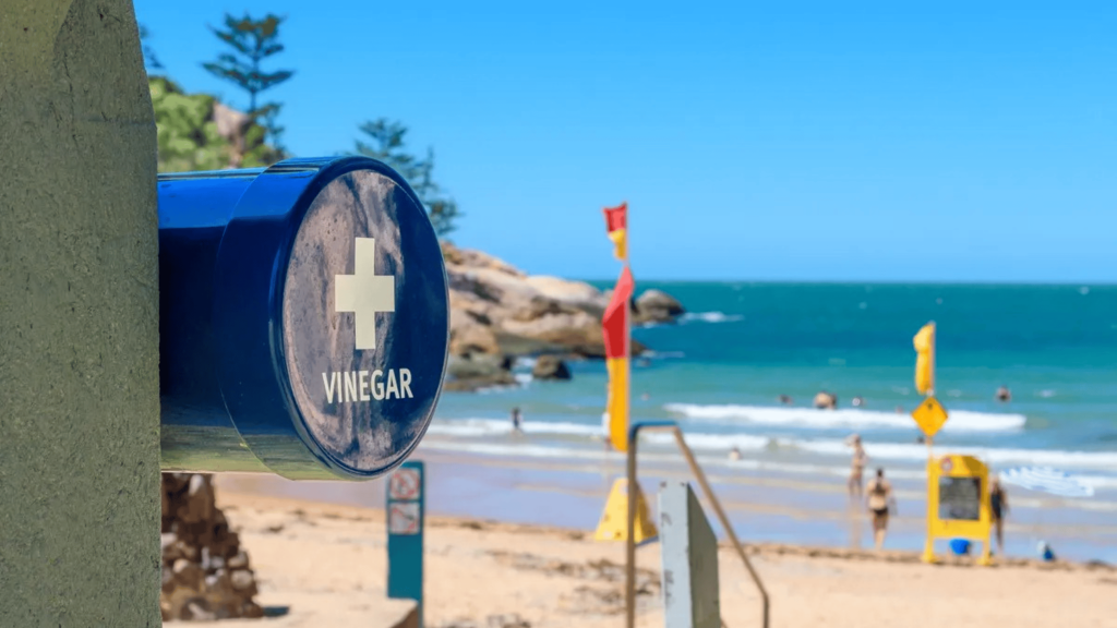 Sabia que praias australianas tem ‘estações de vinagre’ na areia?