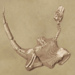Shri rapax: conheça o dinossauro “primo” do icônico Velociraptor