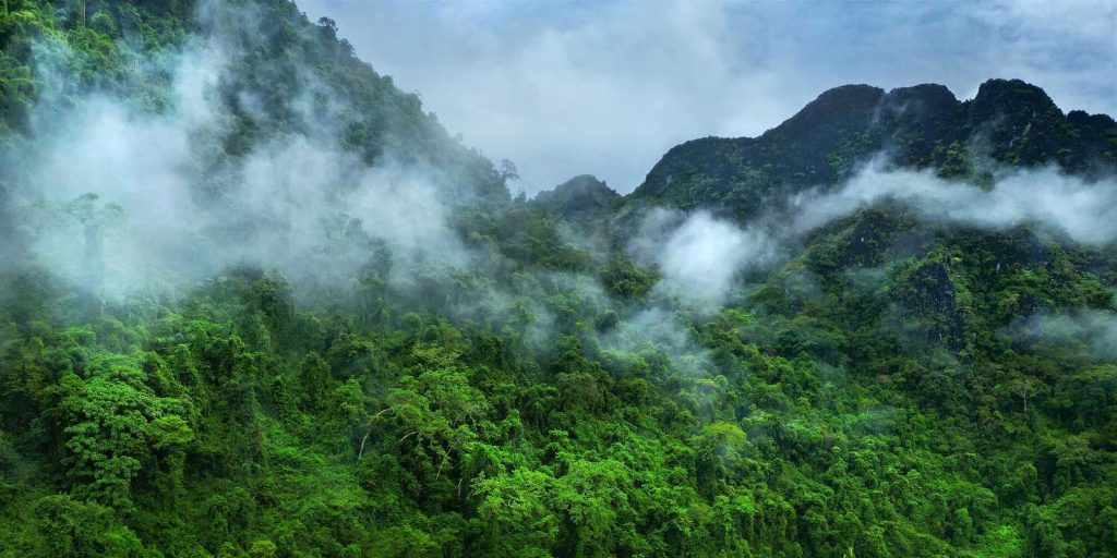 ‘Cidade Perdida’ da Amazônia teve fim trágico, mas não por