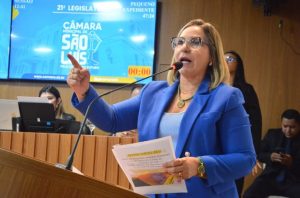 Câmara de São Luís: PL determina remoção de propaganda eleitoral