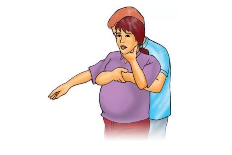 Câmara de São Luís: PL torna obrigatório o ensino de