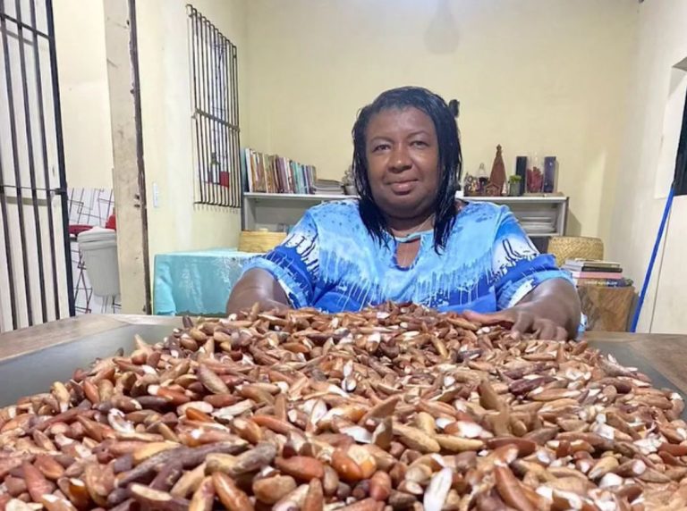 Carnaval 2026: Favela do Samba lança enredo inspirado em Nelinha