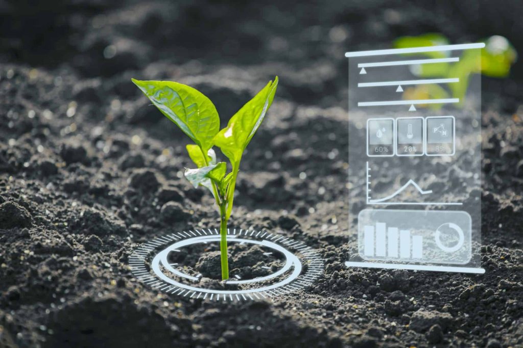 Cientistas desenvolvem “planta solar” que purifica solo radioativo