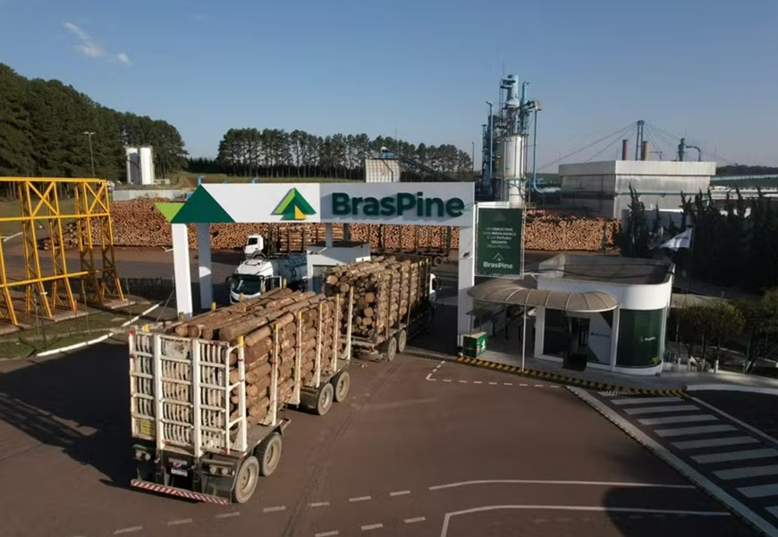 Com tarifaço dos EUA, madeireira demite 400 e afasta mais