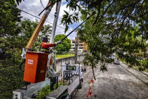 Como se proteger de acidentes elétricos durante temporada de ventos