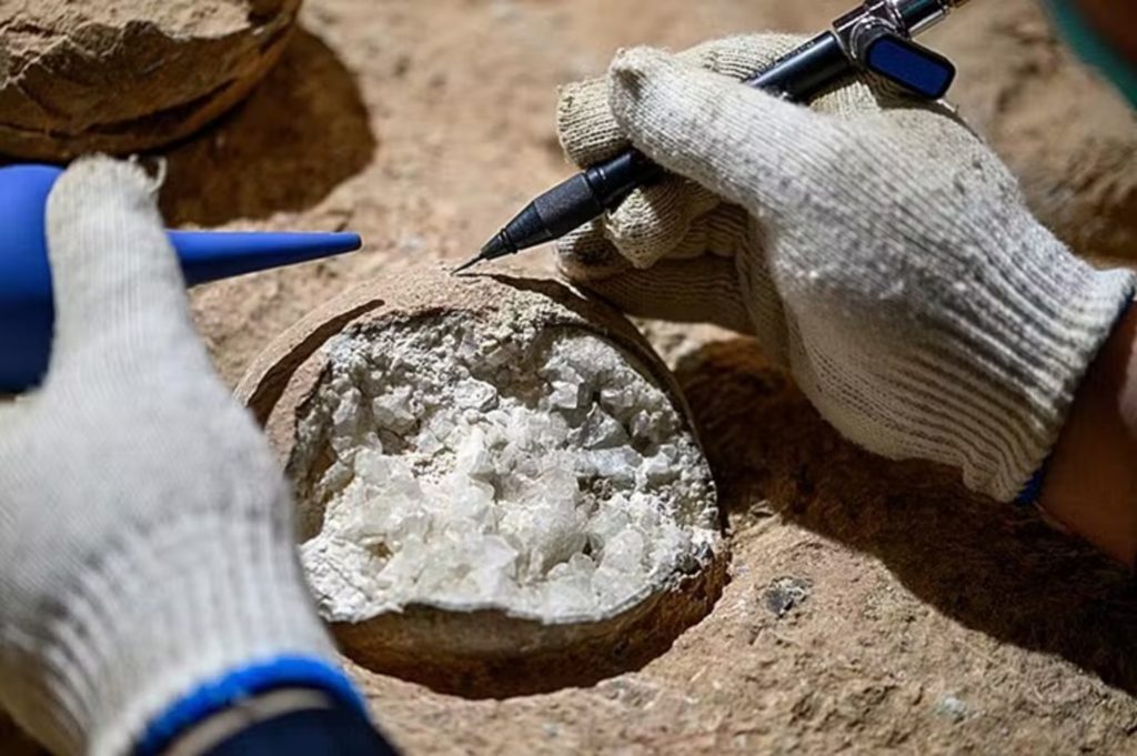 Cristais são encontrados dentro de ovos de dinossauros