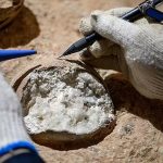 Cristais são encontrados dentro de ovos de dinossauros