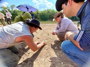 Descoberta de fóssil no Maranhão pode projetar estado no cenário