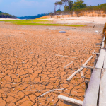 Desmatamento responde por 74,5% da perda de chuva na Amazônia,
