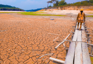 Desmatamento responde por 74,5% da perda de chuva na Amazônia,