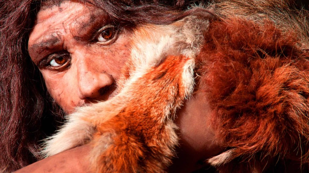 Entrevista: parece que a história humana não é bem como