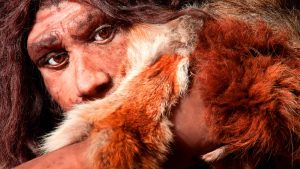 Entrevista: parece que a história humana não é bem como