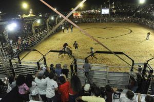 Expoema 2025: Hoje tem Mix in Brazil, Erick Andrade e