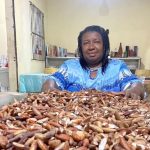 Favela do Samba Lança Edital para Escolha do Samba-Enredo 2026