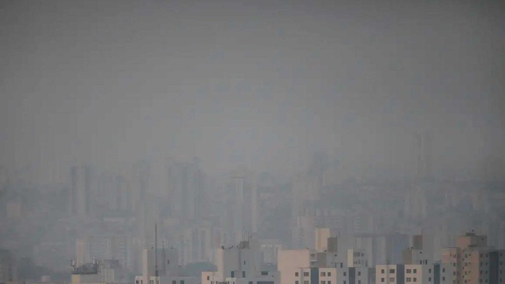 Fumaça de queimadas pode matar milhões por ano; entenda o