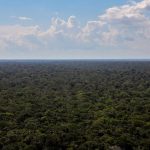 Governo Lula prepara Plano de Bioeconomia que será destaque na